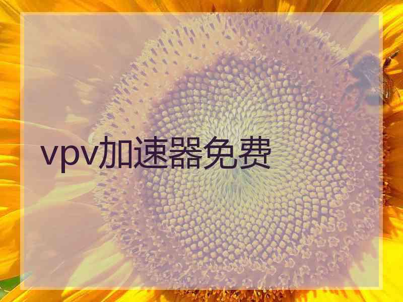 vpv加速器免费