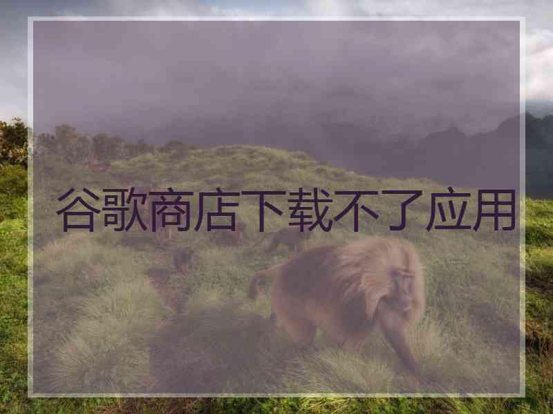 谷歌商店下载不了应用