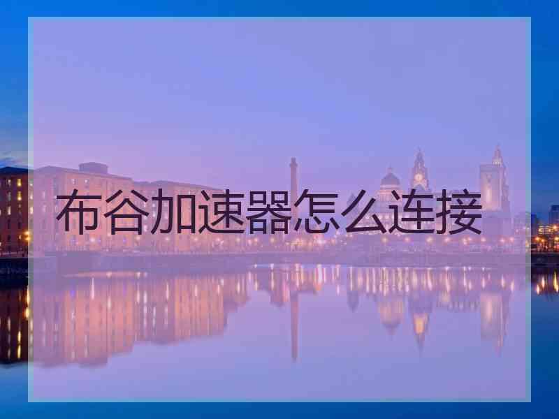 布谷加速器怎么连接