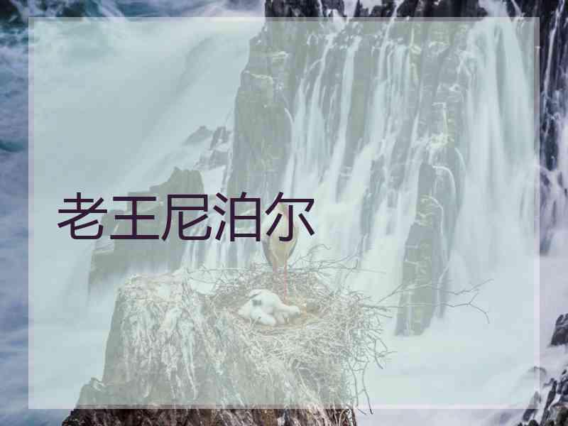 老王尼泊尔