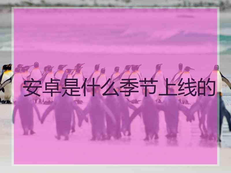 安卓是什么季节上线的