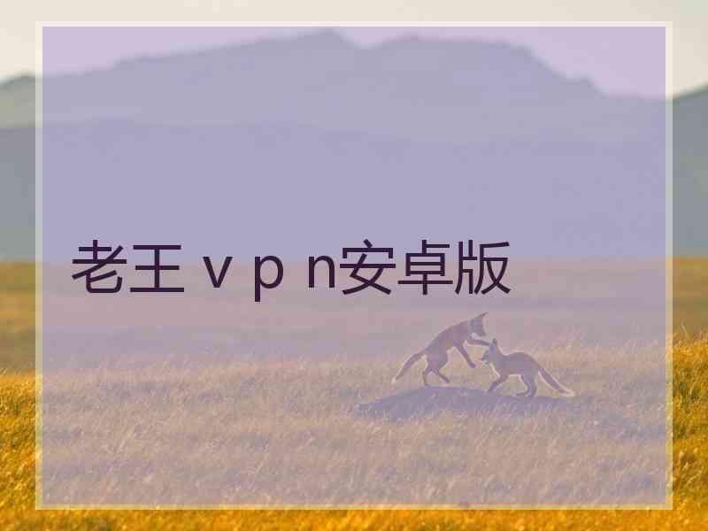 老王 v p n安卓版