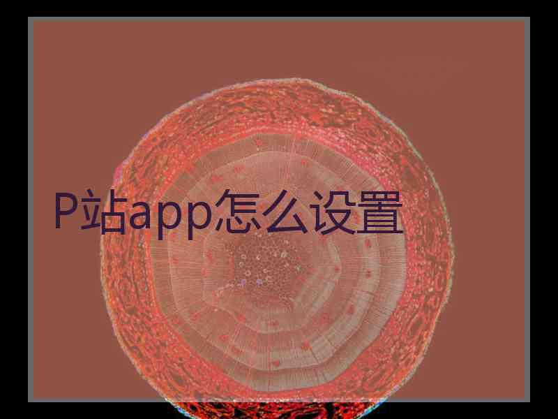 P站app怎么设置