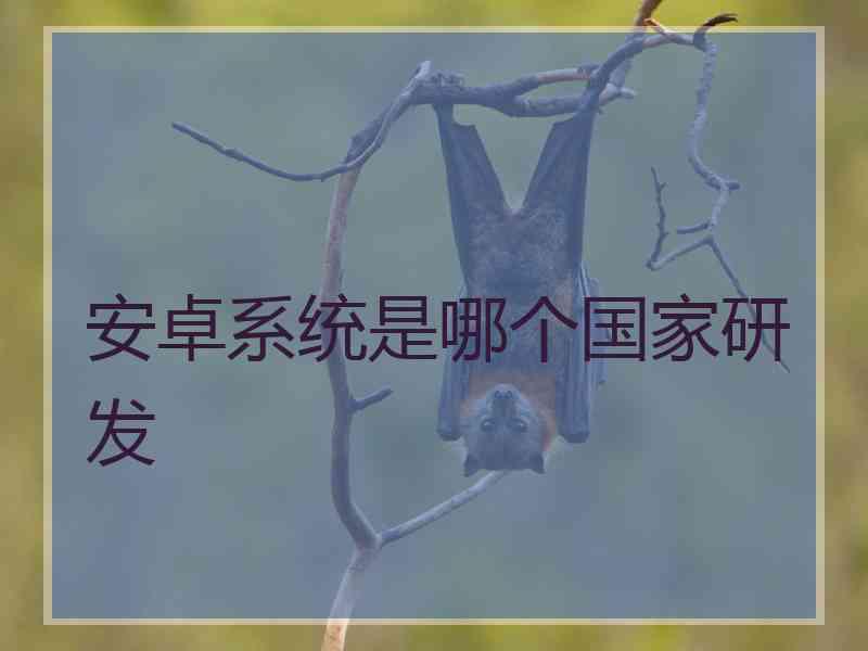 安卓系统是哪个国家研发