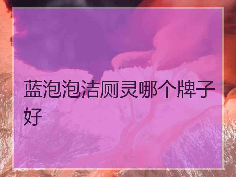 蓝泡泡洁厕灵哪个牌子好