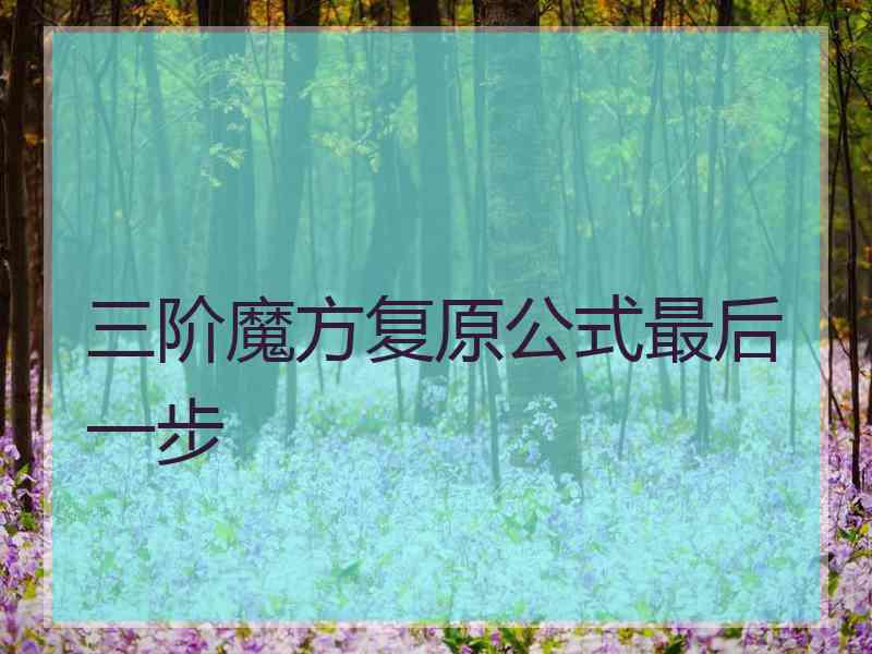 三阶魔方复原公式最后一步