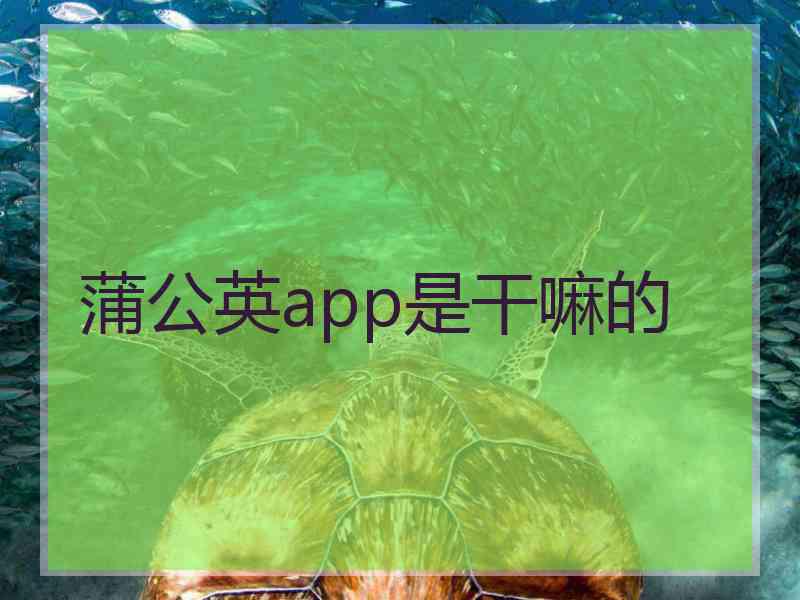 蒲公英app是干嘛的