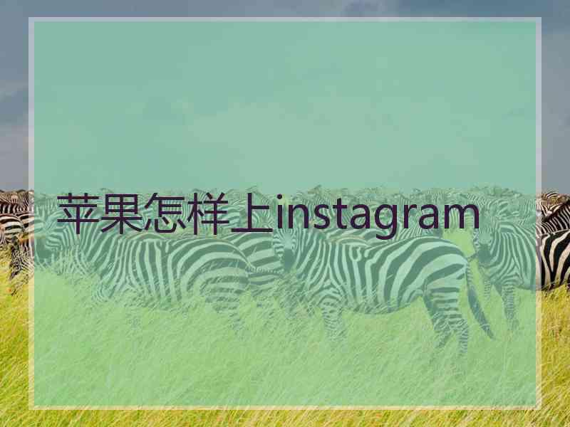 苹果怎样上instagram