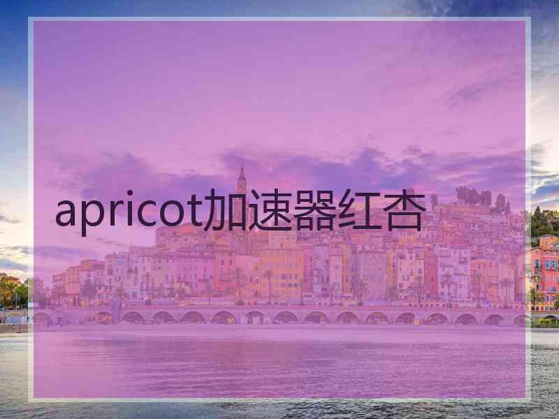 apricot加速器红杏