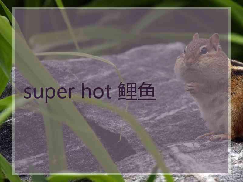 super hot 鲤鱼