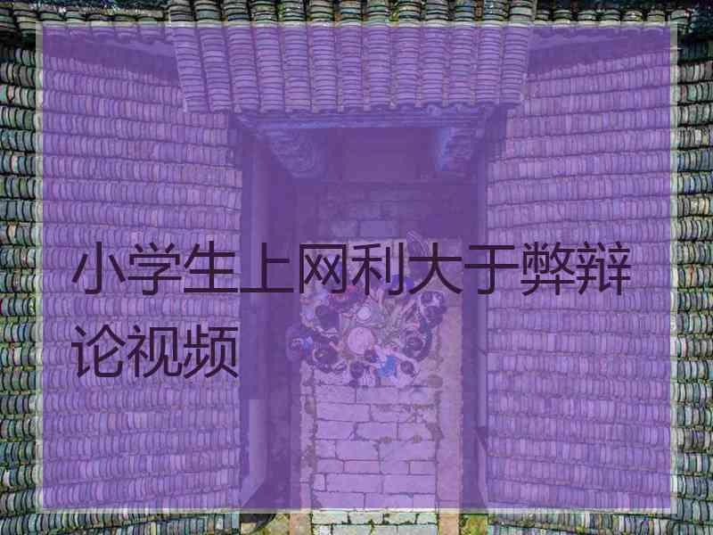 小学生上网利大于弊辩论视频