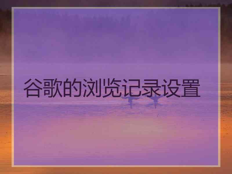 谷歌的浏览记录设置