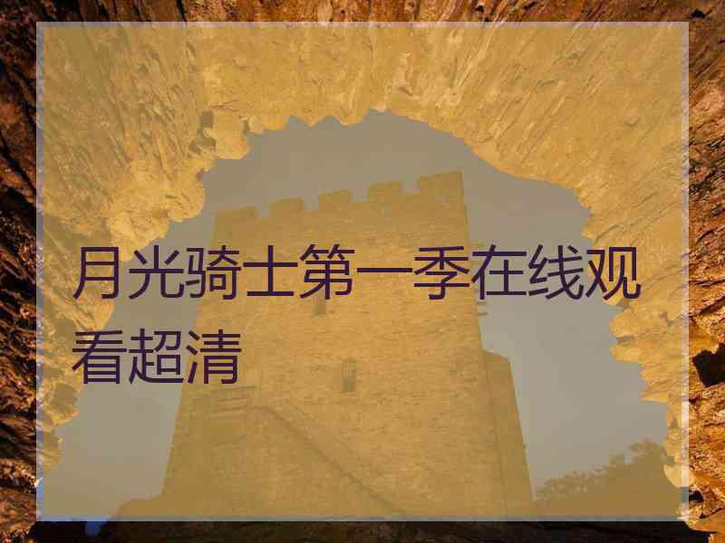 月光骑士第一季在线观看超清