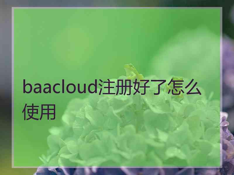 baacloud注册好了怎么使用
