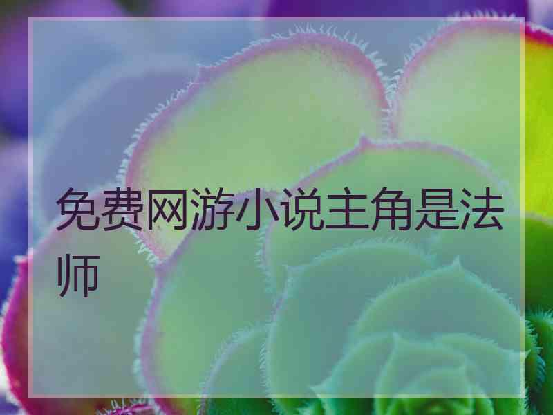 免费网游小说主角是法师