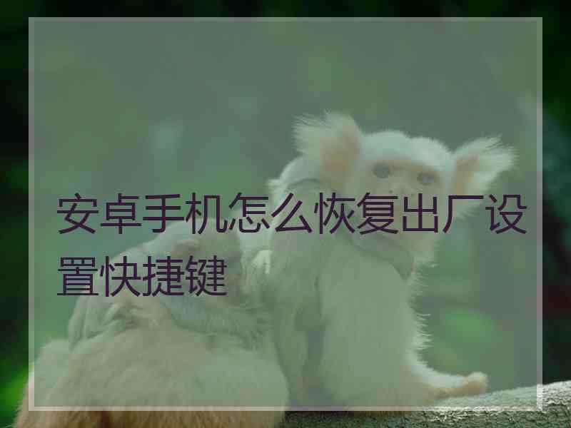 安卓手机怎么恢复出厂设置快捷键