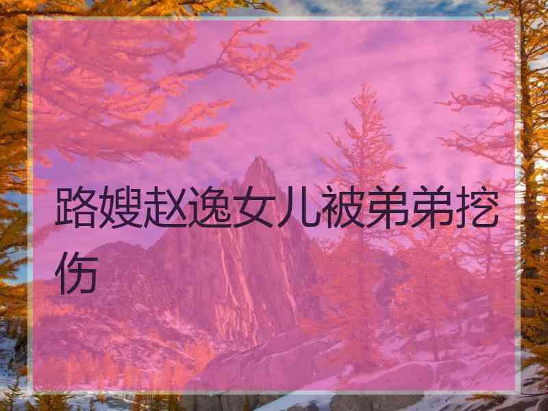 路嫂赵逸女儿被弟弟挖伤