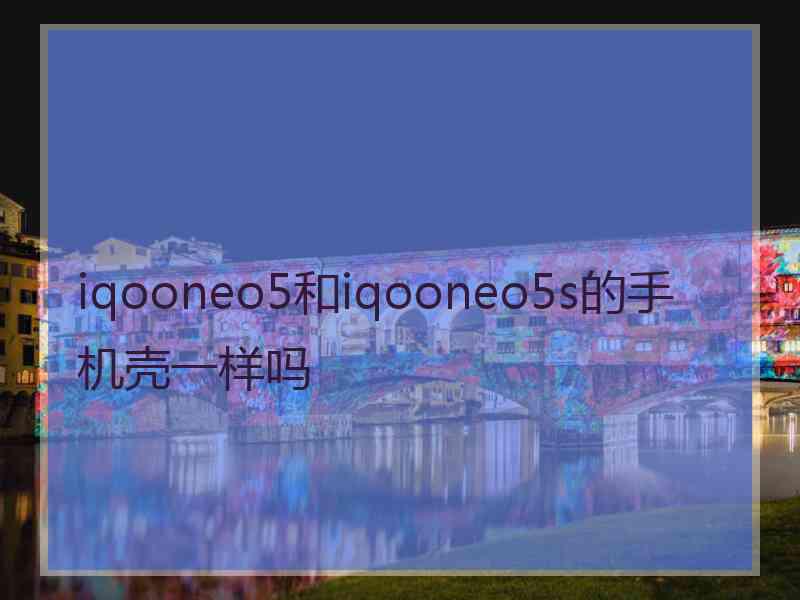 iqooneo5和iqooneo5s的手机壳一样吗
