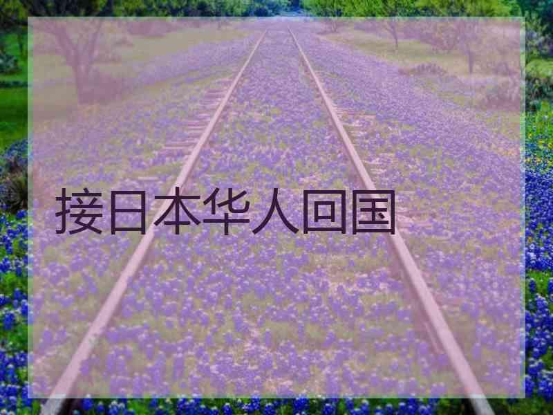 接日本华人回国
