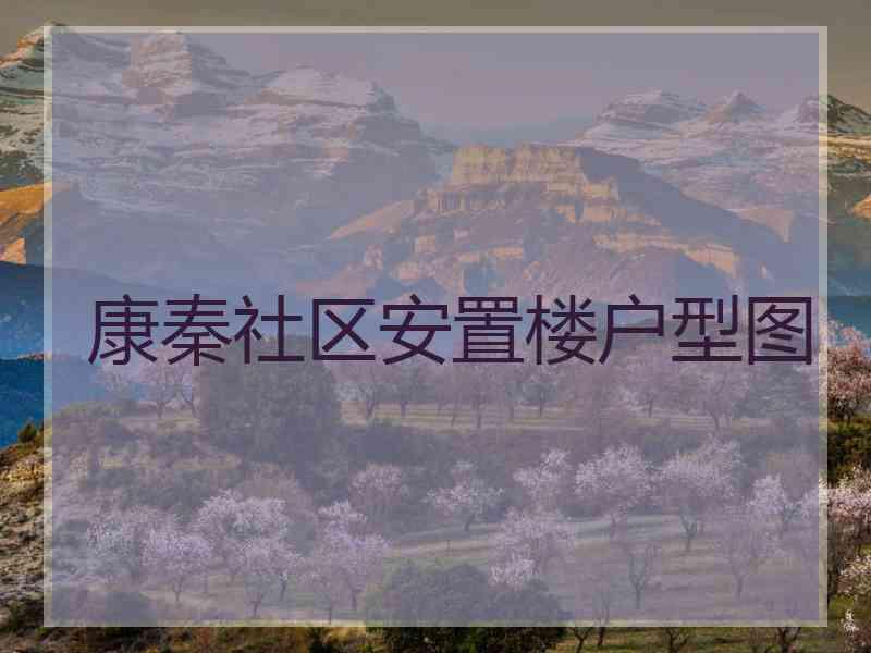 康秦社区安置楼户型图