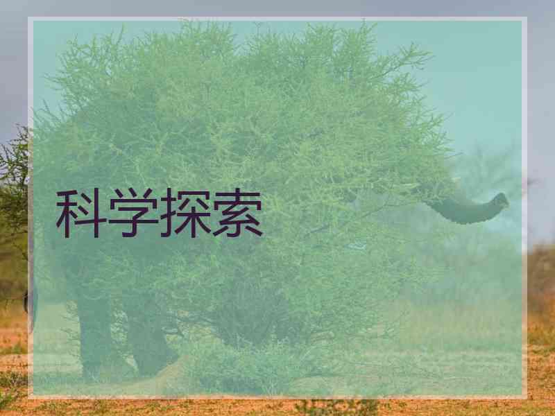 科学探索