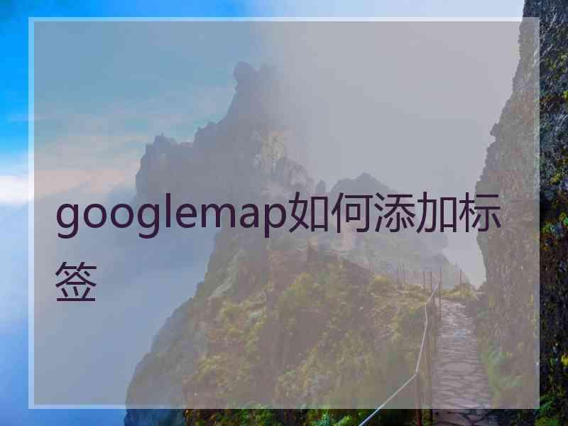 googlemap如何添加标签