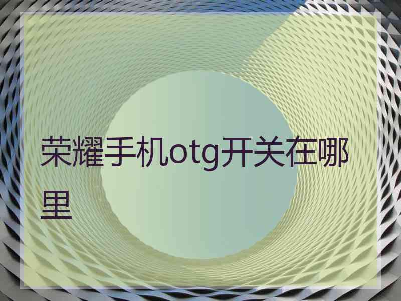 荣耀手机otg开关在哪里