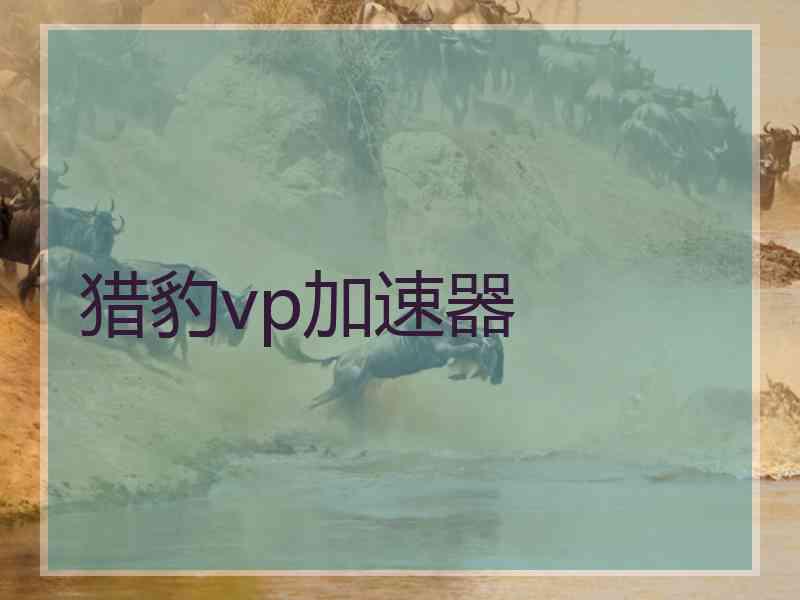 猎豹vp加速器