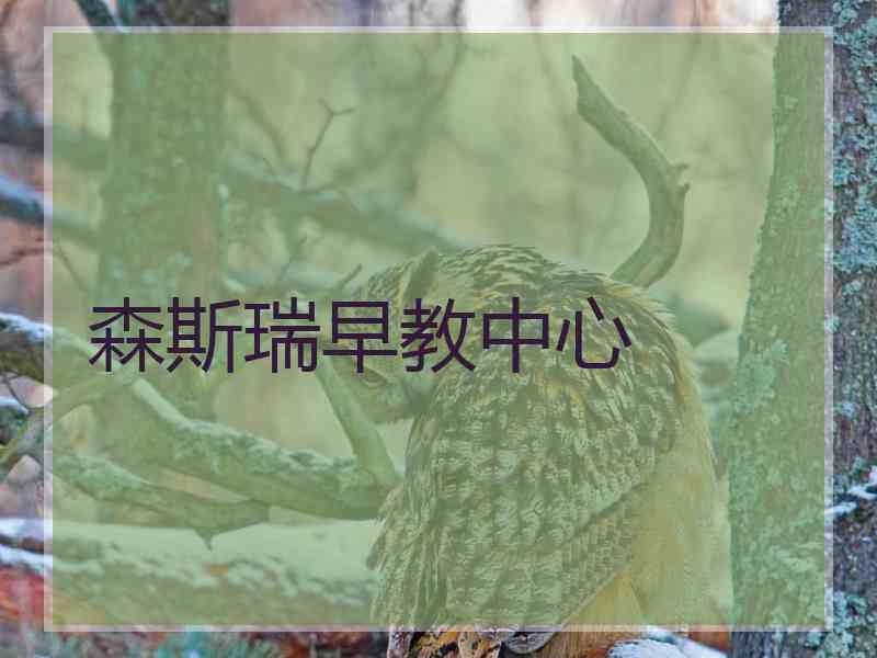 森斯瑞早教中心
