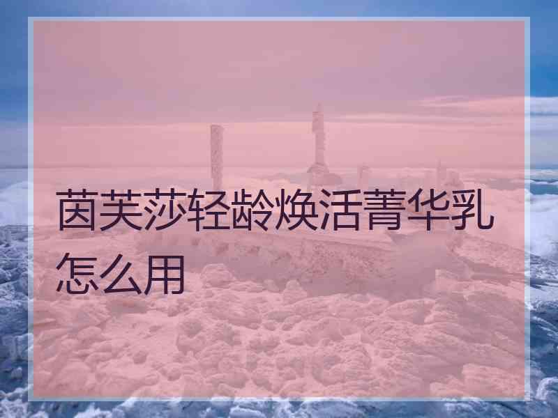 茵芙莎轻龄焕活菁华乳怎么用