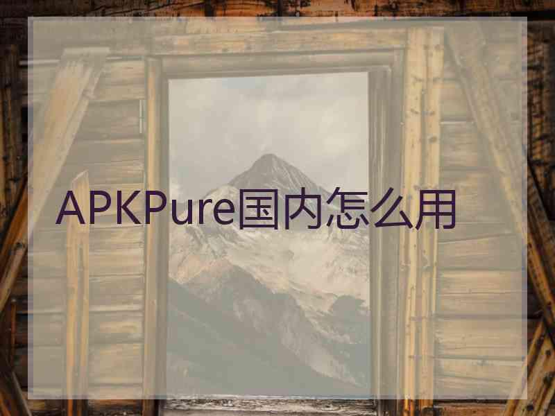 APKPure国内怎么用
