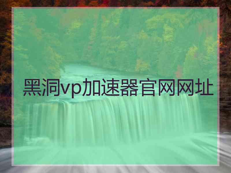 黑洞vp加速器官网网址