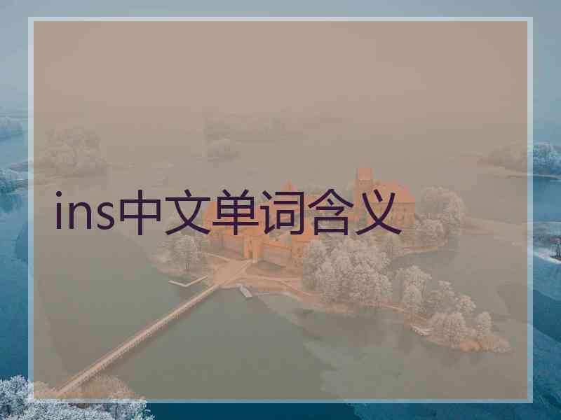 ins中文单词含义