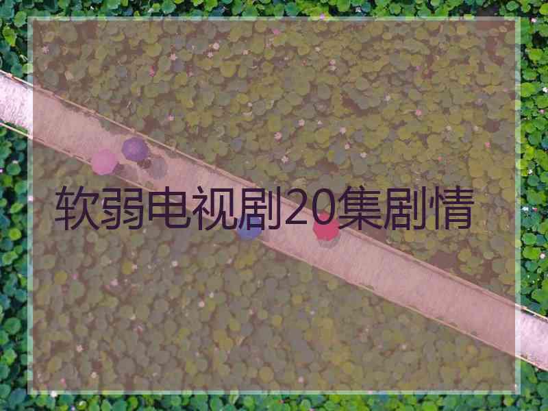 软弱电视剧20集剧情