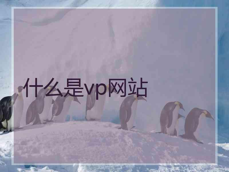 什么是vp网站
