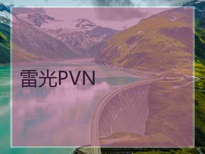 雷光PVN