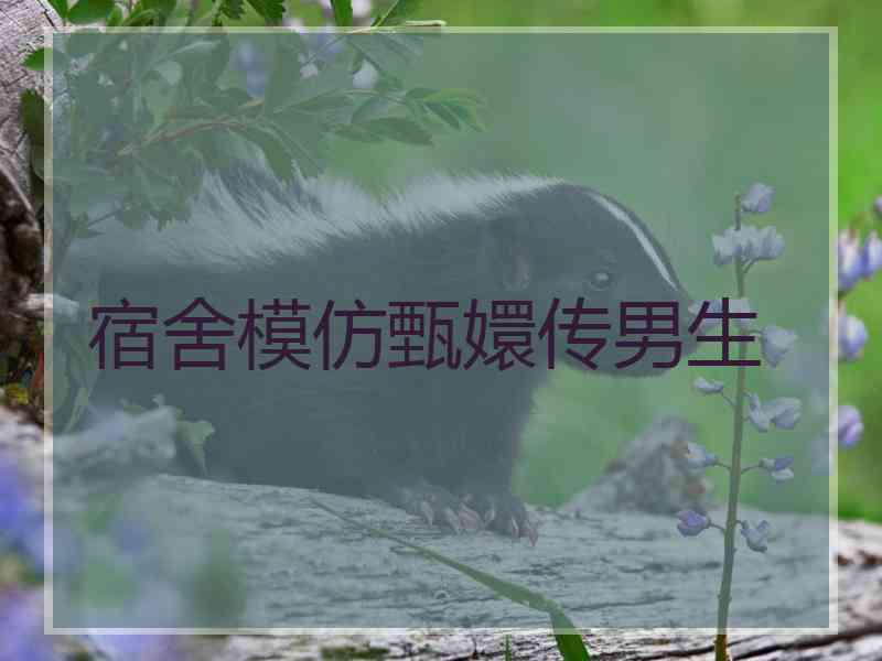 宿舍模仿甄嬛传男生