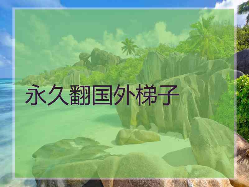 永久翻国外梯子