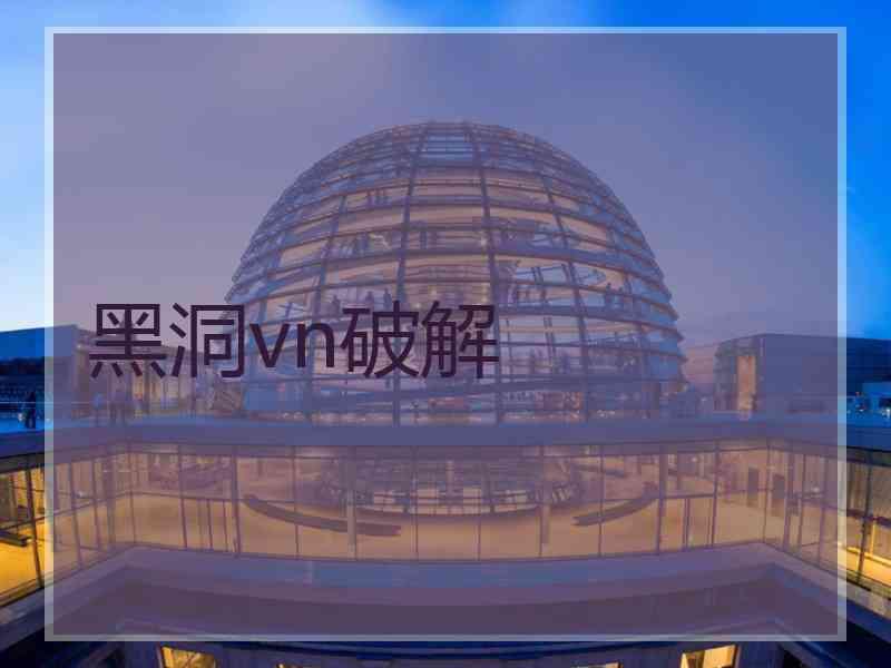 黑洞vn破解