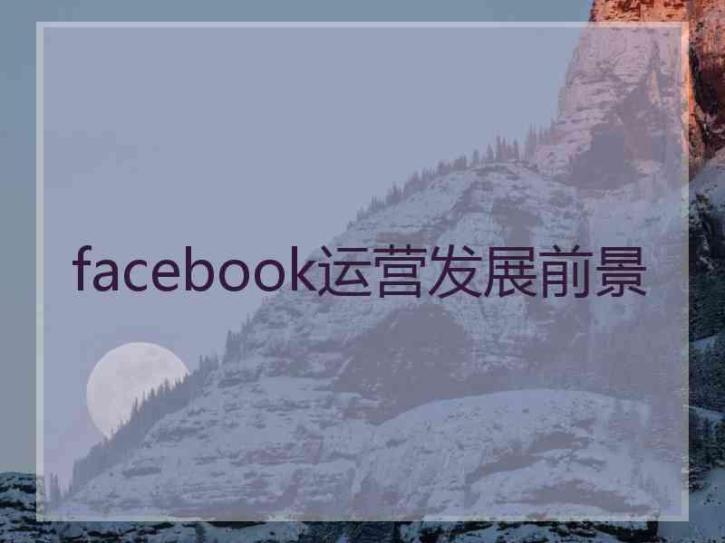facebook运营发展前景