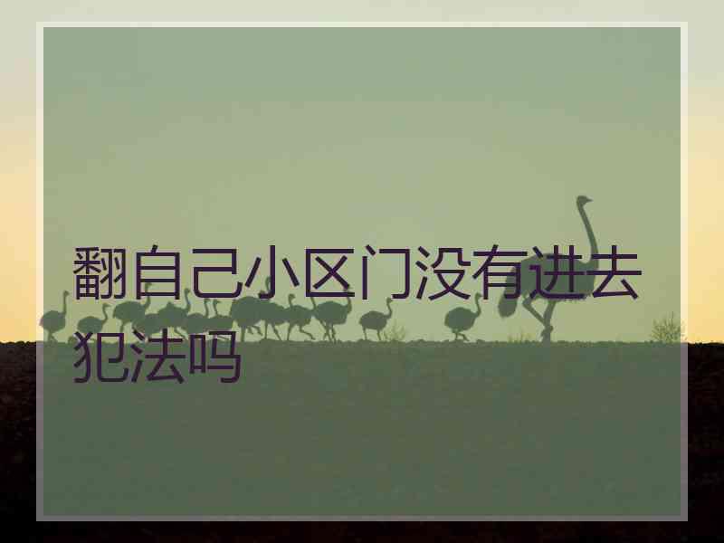 翻自己小区门没有进去犯法吗