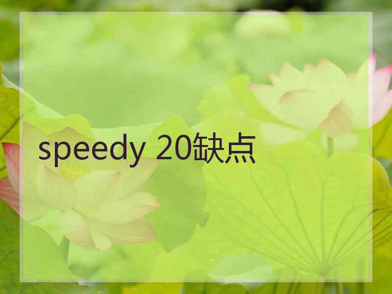 speedy 20缺点