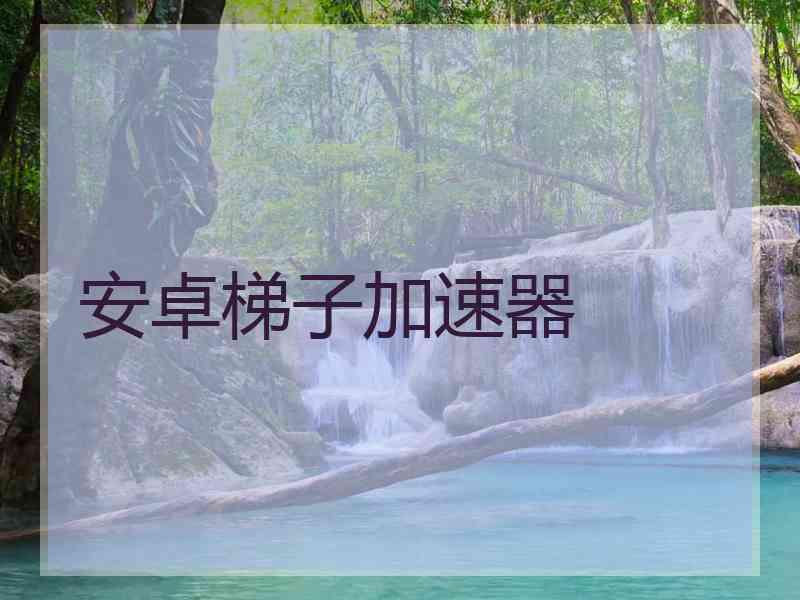 安卓梯子加速器