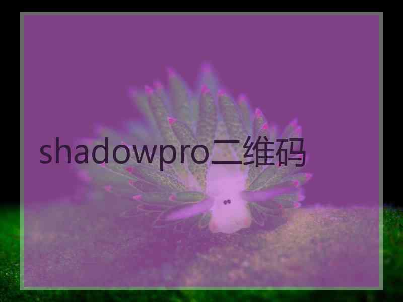 shadowpro二维码