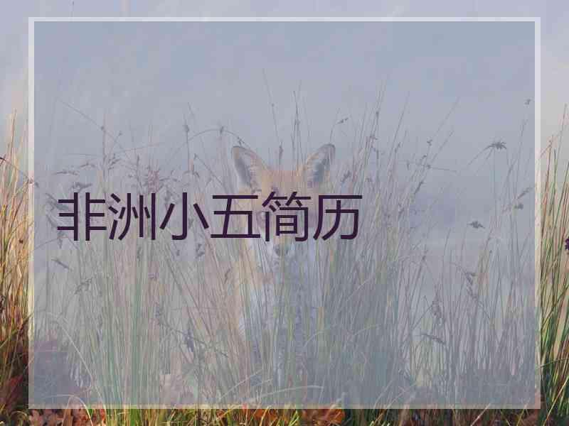 非洲小五简历