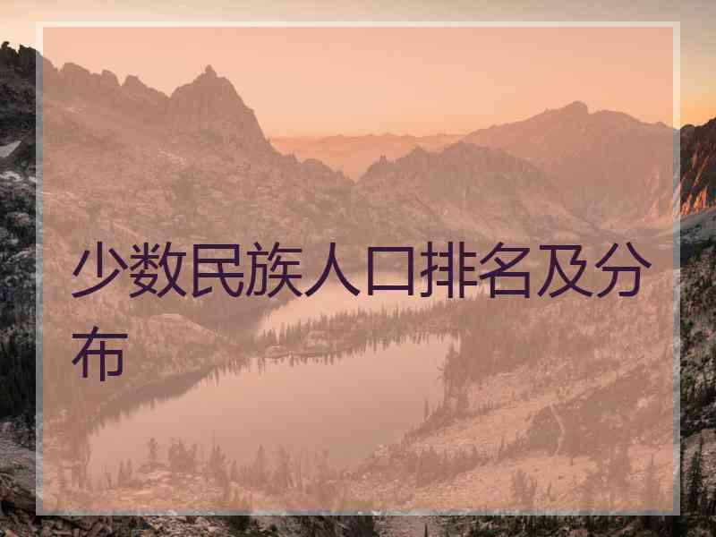 少数民族人口排名及分布