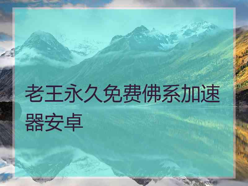 老王永久免费佛系加速器安卓