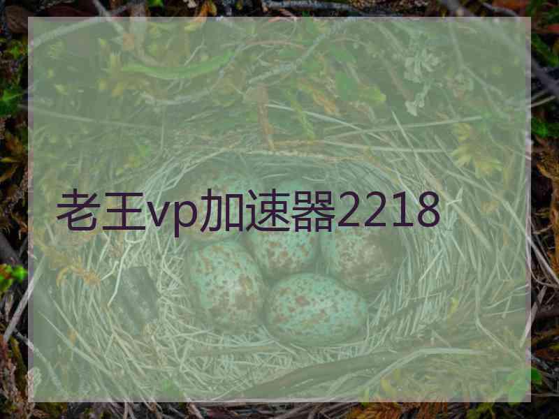 老王vp加速器2218