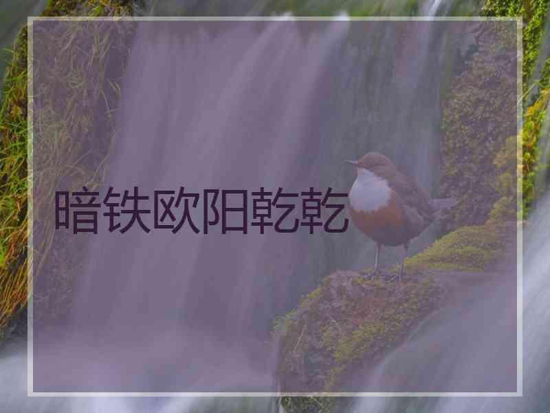 暗铁欧阳乾乾