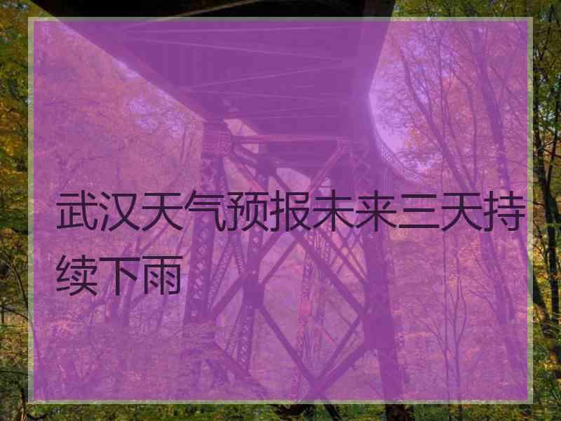 武汉天气预报未来三天持续下雨